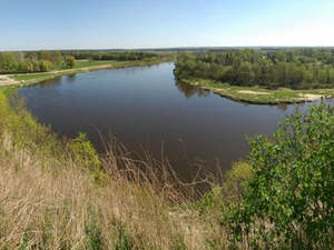 Drohiczyn panorama na rzekę