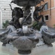 Fontanna żółwi przy Piazza Mattei