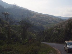 Krajobraz   