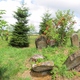 Lutowiska -cmentarz żydowski
