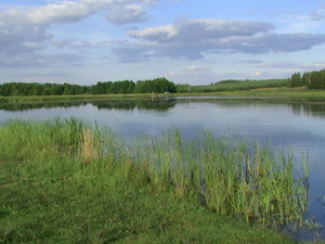 Zalew Ozierany