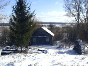 Pic 1768