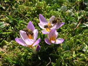 Pic 3180