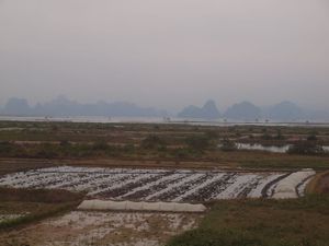 Uprawy i góry Zatoki Ha Long