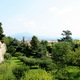 Bergamo -panorama od strony Sant'Agostino