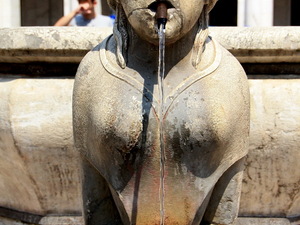 Bergamo - fontanna Contarini na piazza Vecchia 