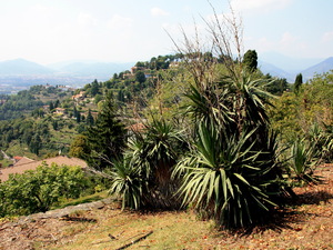 Bergamo 