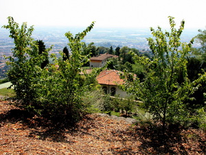 Bergamo - panorama dolnego miasta