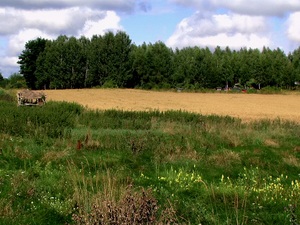 Pradolina Świsłoczy