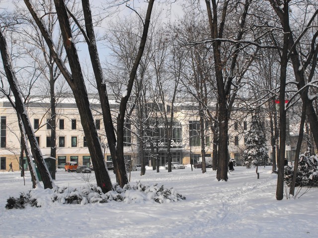 budynek Galerii Rosa zimą