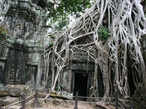 Świątynia Ta Prohm