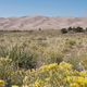 Great Sand Dunes