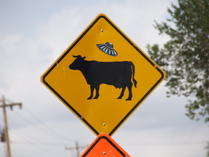 Uwaga na krowy i ...UFO