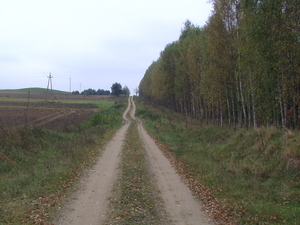 Droga do Białogorc.