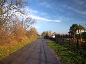 Noordwijkerhout
