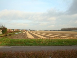 Noordwijkerhout