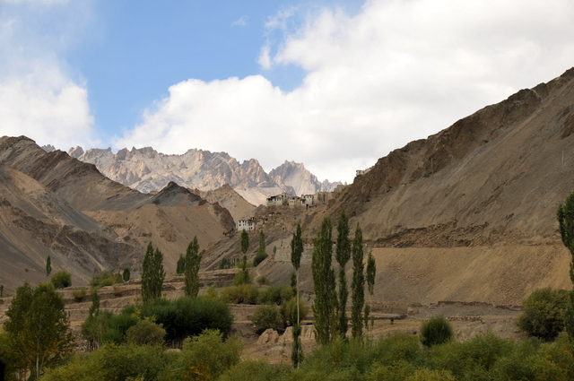 Ladakh 07