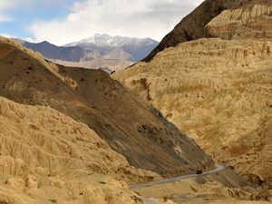 Ladakh 11