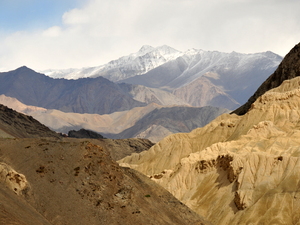 Ladakh 12