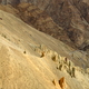 Ladakh 22