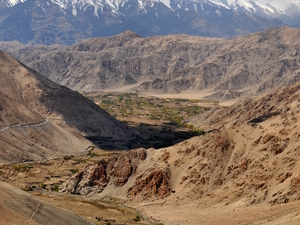 Ladakh 88