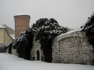 Wawel