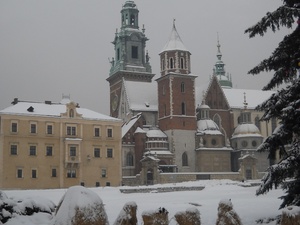 Wawel - widok na katedrę