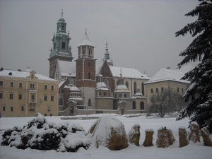 Wawel - widok na katedrę
