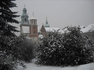 Wawel - widok na katedrę