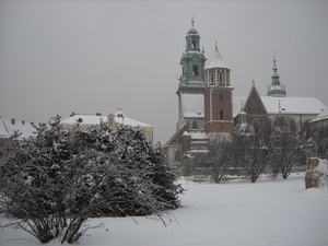 Wawel - widok na katedrę