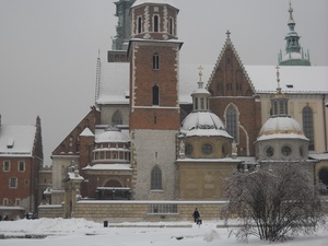 Wawel - widok na katedrę