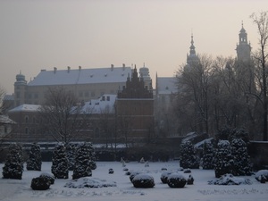 Widok na Wawel