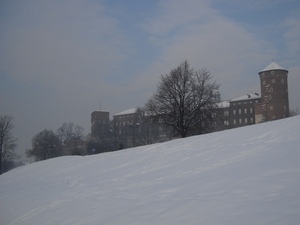 Widok na Wawel