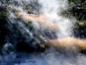 Yellowstone 079