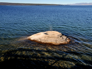 Yellowstone 081