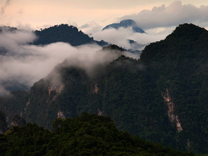 Khao Sok National Park