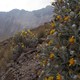 Nevado de toluca  22 