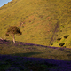 Rapid Valley na Polwyspie Fleurieu