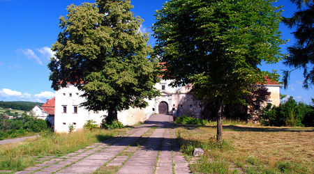 Zamek w Świrżu k.Lwowa.