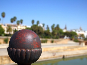 Spacer wzdłuż Rio Guadalquivir