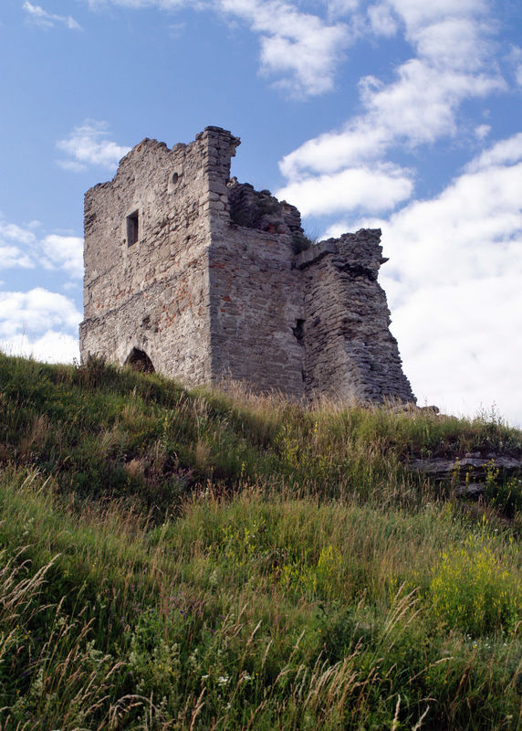 Ruiny zamku z XIIIw.
