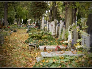 na cmentarzu 2