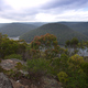 Kuring Gai Chase National Park 