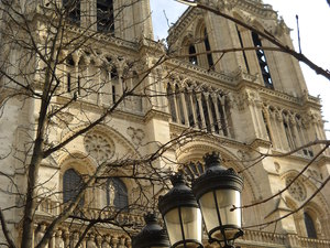 Katedra Notre Dame
