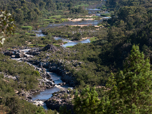 Snowy River