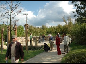 ogrody koreańskie 15