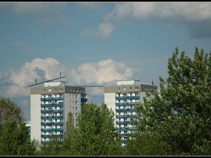 ogrody 12