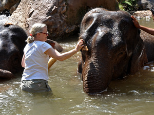 Słonia trzeba dokładnie umyć...