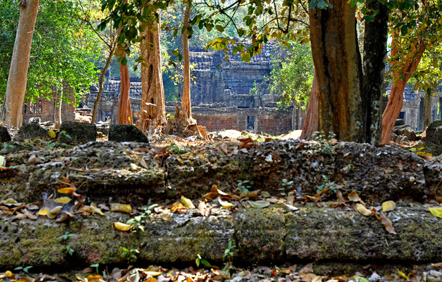 Świątynia Preah Khan, Angkor
