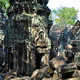 Świątynia Ta Prohm, Angkor